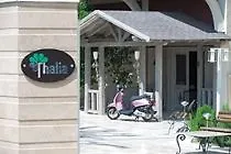 Thalia Курортный комплекс Ilica (Manavgat)